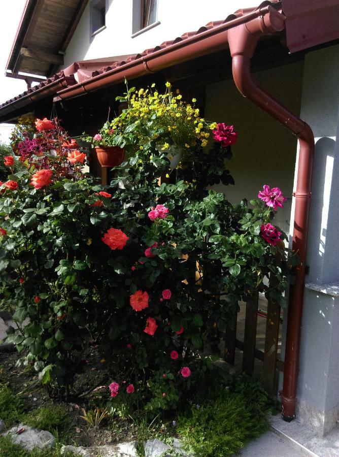 Apartamento House Sara Korenica Exterior foto